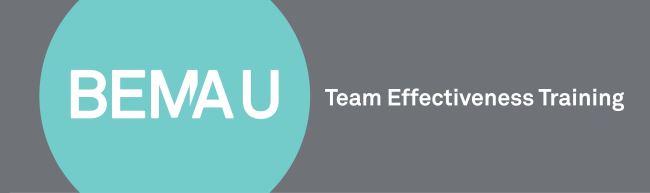 BEMA-U Team Effectiveness Training