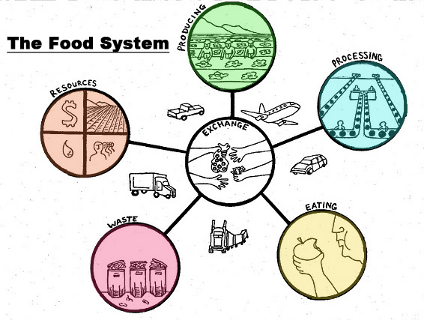 The Food System