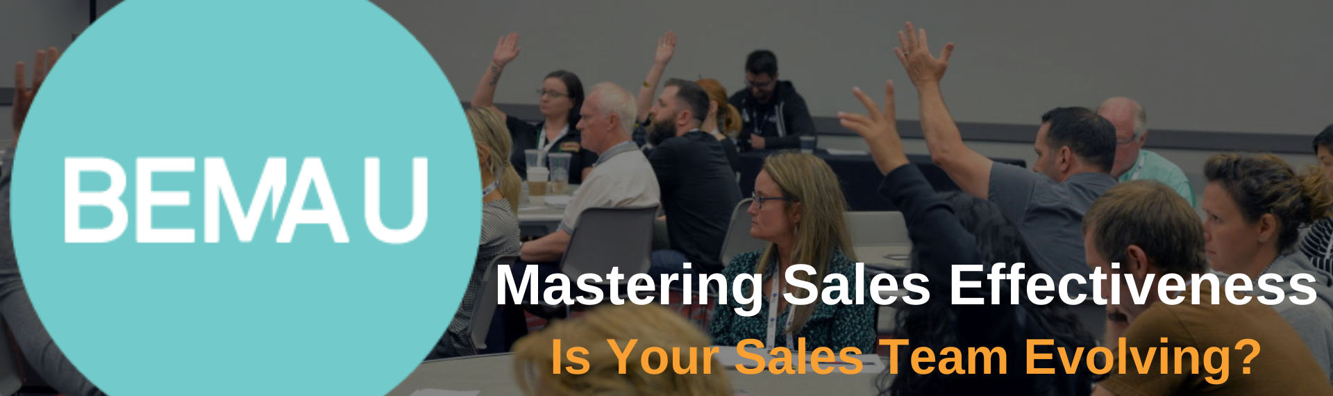 Mastering Sales Effectiveness