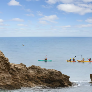 2024 BEMA Convention Guided Ocean Kayaking